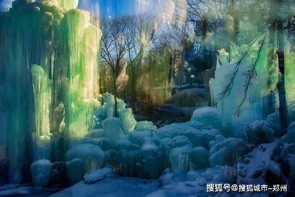 水晶兰是什么花?-问答网站